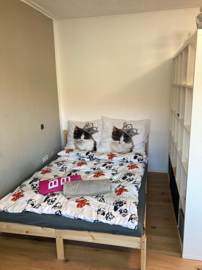 Privatzimmer In Muenchen Zentrum ภายนอก รูปภาพ